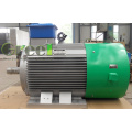 100KW 50 rpm três fase Pmg com BV